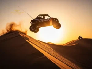 Single seater buggy Polaris RZR 1000cc