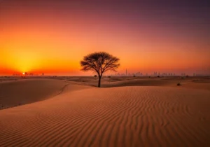 Read more about the article Capturing the Soul of the Sands: A Journey into Dubai Desert Photography