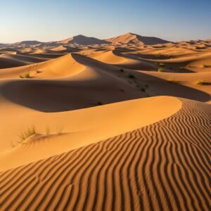 best time for a desert safari