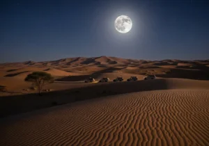 Read more about the article Under a Silver Crescent: A Journey into the Heart of a Moonlight Desert Safari