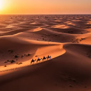 Camel Riding Routes