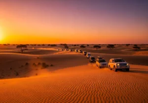 Read more about the article A Dance with the Sun: Your Journey into the Heart of a Summer Desert Safari