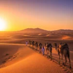 Camel Trekking in the Desert – A Step into History