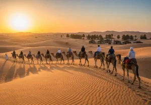 Read more about the article A Journey Across the Golden Sands: The Soul of a Camel Trekking with DESERT Experience