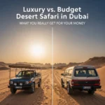 Dubai Desert Safari: The Brutal Truth About Luxury and Budget Options